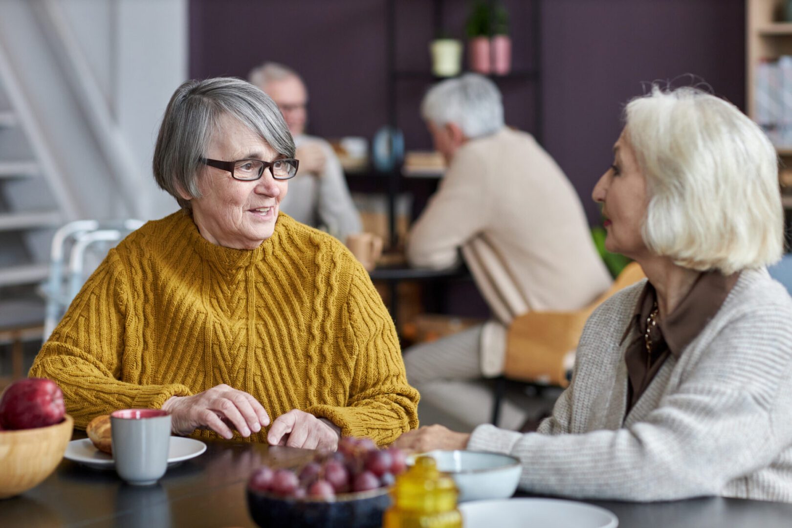 Portrait of two senior women chatting in common room area at retirement home